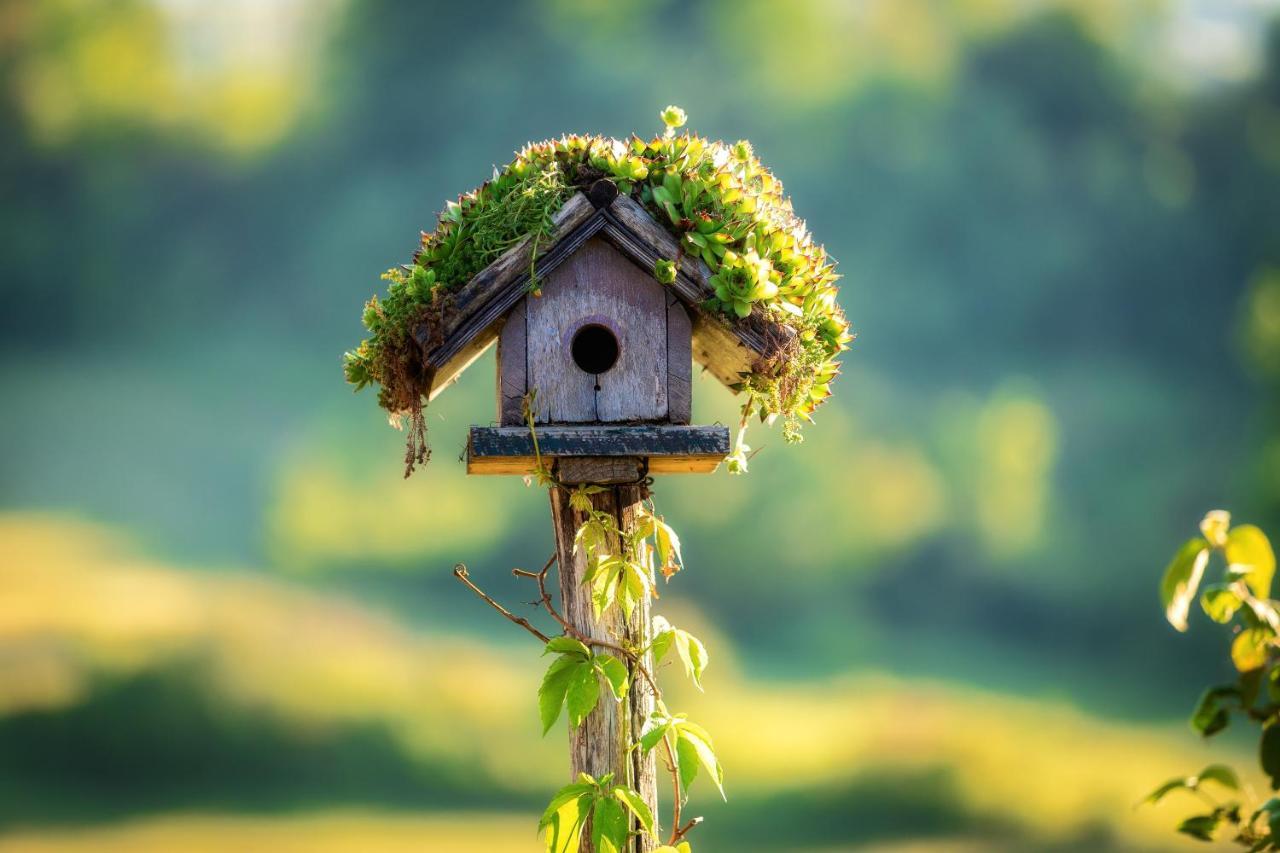 Farmstay Kotic Slunj Bagian luar foto